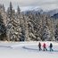 Drei Personen beim Schneeschuhwandern vor schneebedeckten Bäumen und Bergen